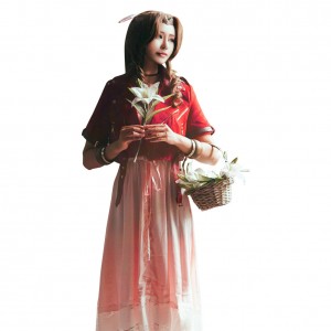 Final Fantasy VII 7 Aerith Aeris Gainsborough Rosa Kleid Remake Cosplay Kostüm Halloween