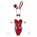 02 Zero Two Costume Bunny Girl Cosplay DitF Zero Kostüm Carnival